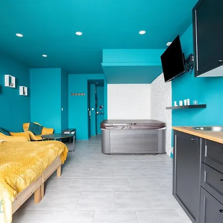 Superbe Maison De Avec Billard Et Jacuzzi Appartement Wasquehal